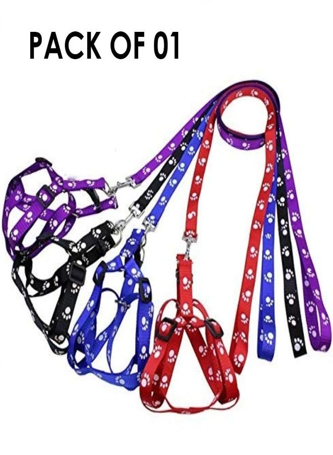 SWASUM Leash and Harness for Puppy 10 MM | Paw Print Leash and Harness for Dog (Color May Vary) - Image 2